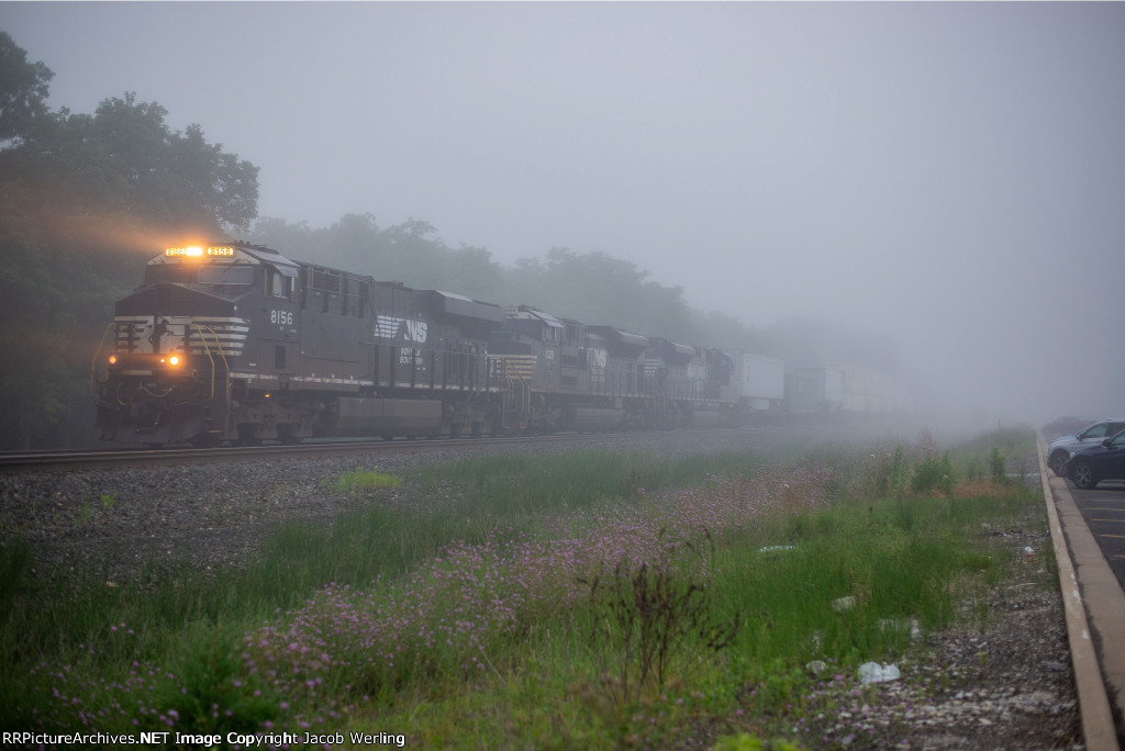 NS 8156